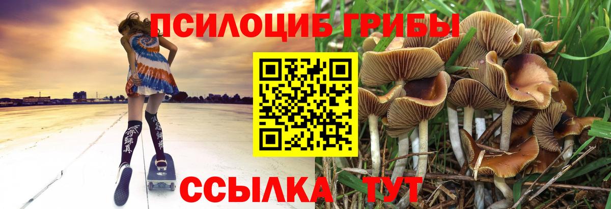 Галлюциногенные грибы мицелий Волгоград