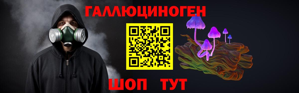 Галлюциногенные грибы GOLDEN TEACHER  магазин продажи наркотиков  Волгоград  Галлюциногенные грибы Cubensis  Вход с VPN 